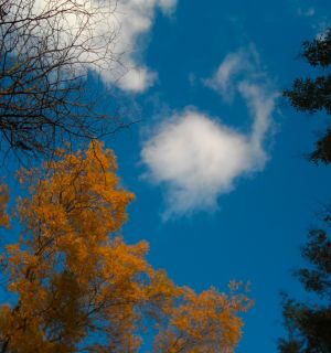 Breathing deeply - finding inner balance and an individual and powerful expression using your own energy