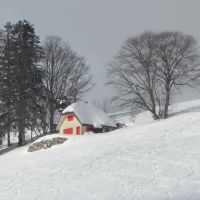 Winter2.JPG